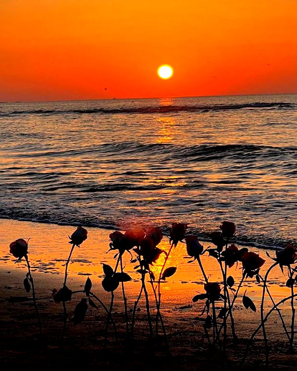 lyhythuedoxinh instagram image archive image