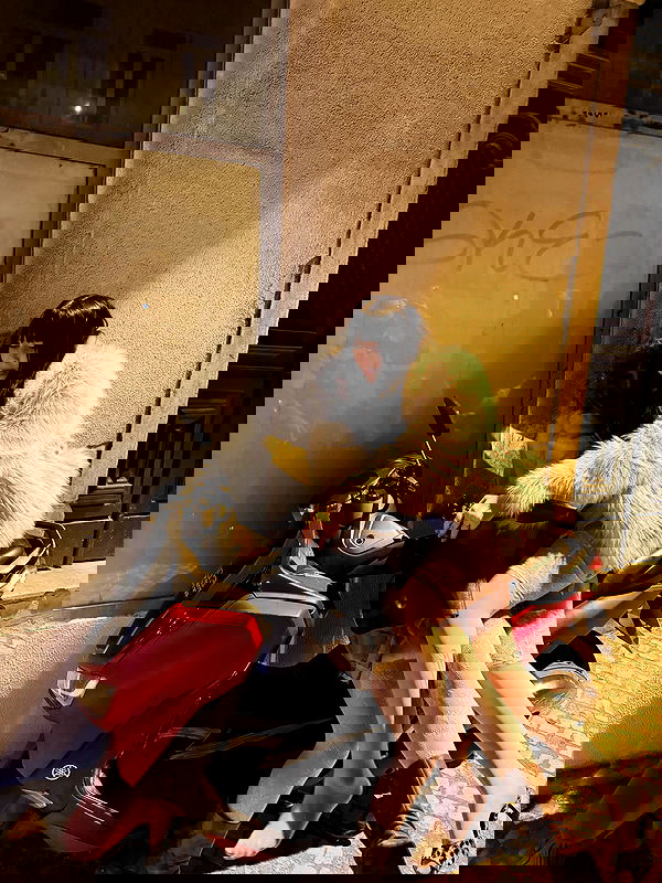 imalovesosa imalovesosa archive image