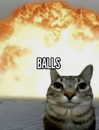 charleygrayyy Altpins Profile Picture
