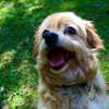 elizabethcampbelljones Altpins Profile Picture