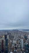 federica.piccinni Altpins Profile Picture