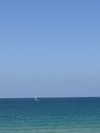 efrat_elmalich Altpins Profile Picture