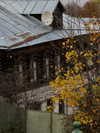 vollkova__ Altpins Profile Picture
