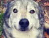 malmalirl Altpins Profile Picture