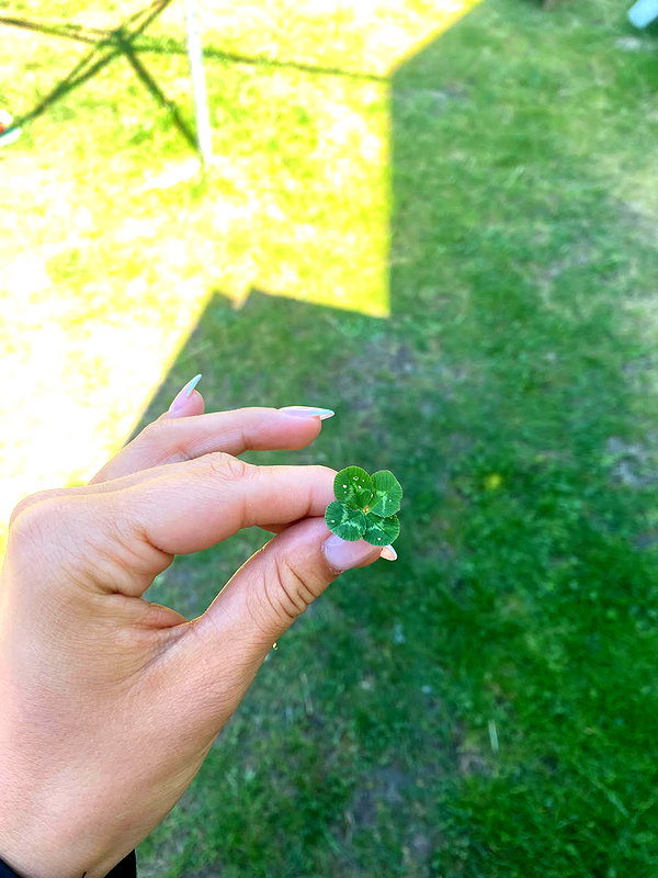 ek3b.chapman instagram image archive image