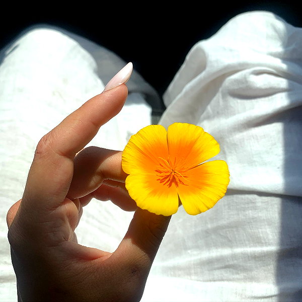 tamagotkri instagram image archive image