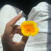 tamagotkri Altpins Profile Picture