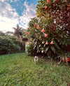 emmi.botta Altpins Profile Picture