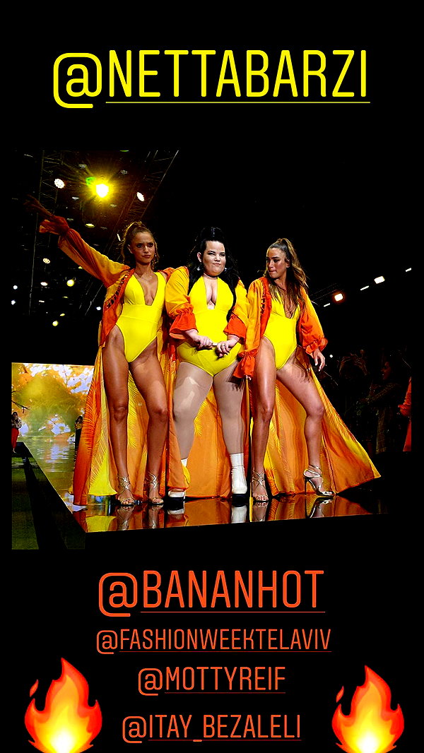 neta_alchimister instagram image archive image
