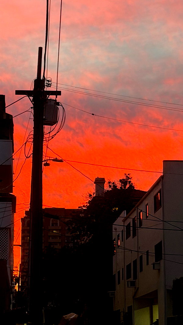 sydney_melman instagram image archive image