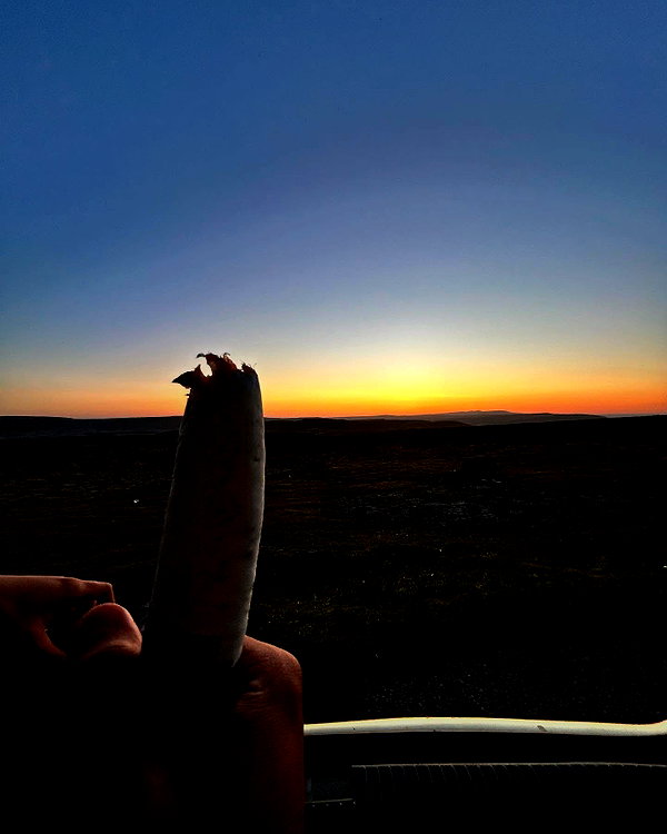 charley.chambers instagram image archive image