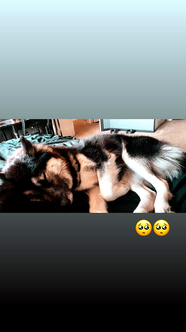 m0rguekittyy instagram image archive image
