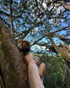 rouxroux.tv Altpins Profile Picture