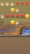 babynympho_archive Altpins Profile Picture