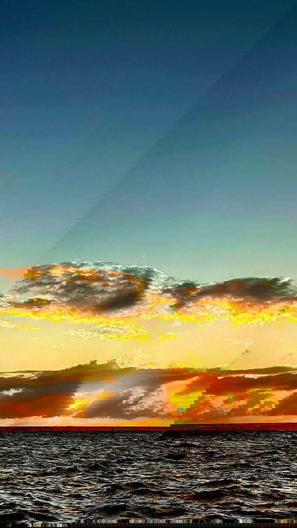 taylor.creeden taylor.creeden archive image