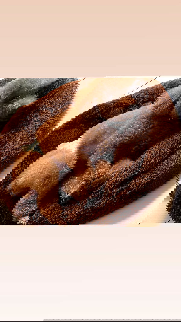 kteaworld kteaworld archive image