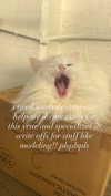ifkissescouldleavecuts Altpins Profile Picture