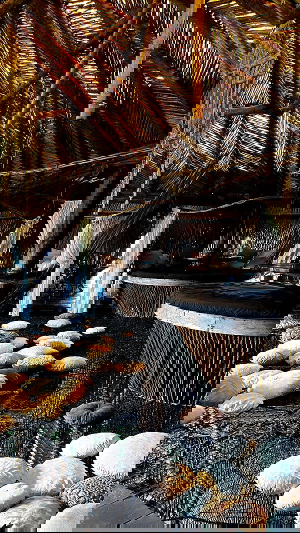 taylor.creeden taylor.creeden archive image