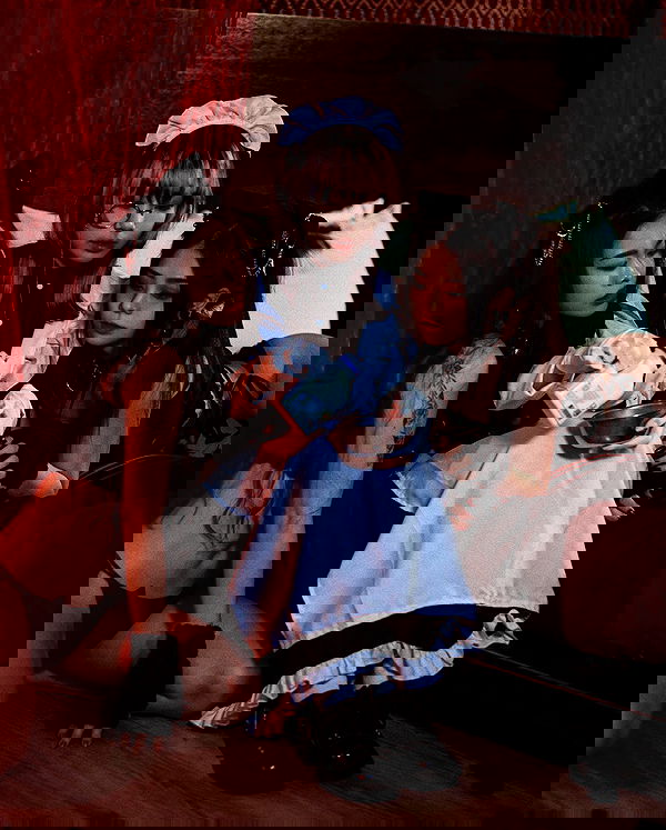 ting851204 ting851204 archive image