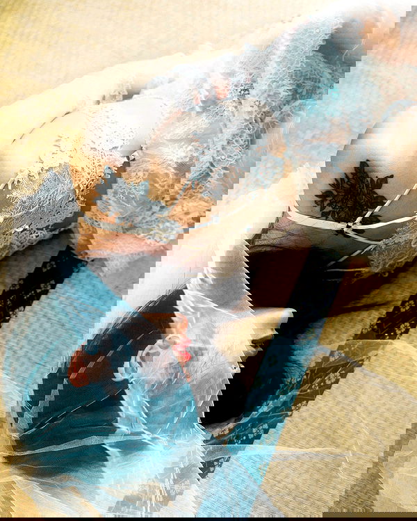 ting851204 ting851204 archive image