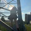 _dead__cherry_ Altpins Profile Picture