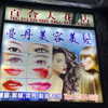 bugz4brainz Altpins Profile Picture