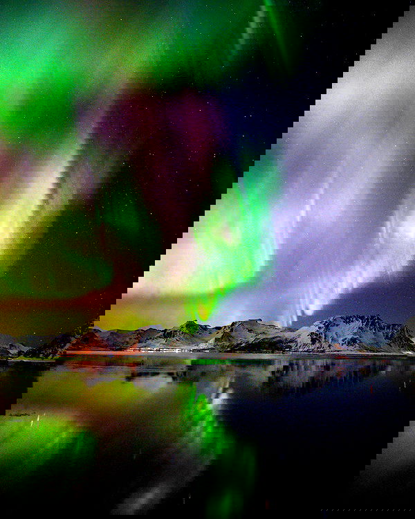 taylor.creeden taylor.creeden archive image