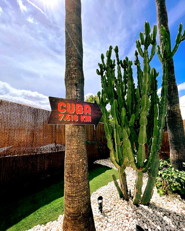 curlyfriesjazz instagram image archive image