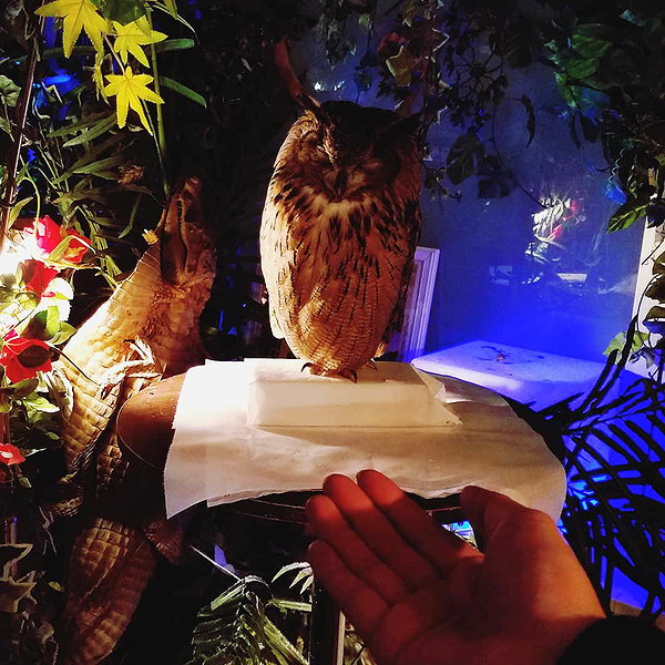 muze instagram image archive image