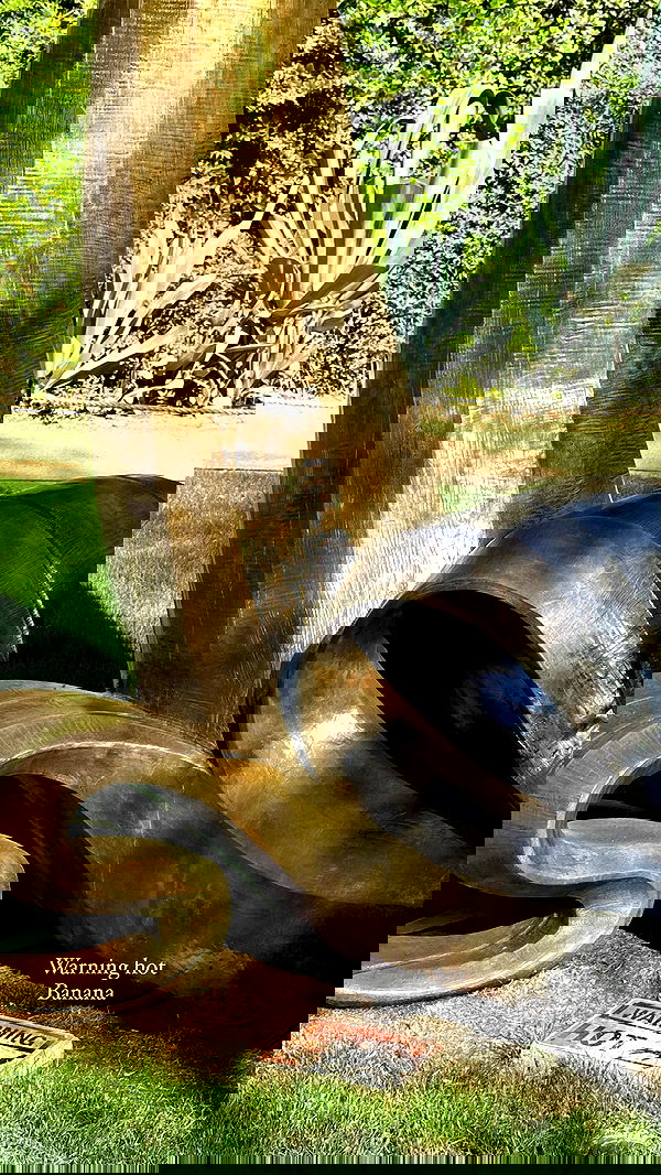 taylor.creeden taylor.creeden archive image