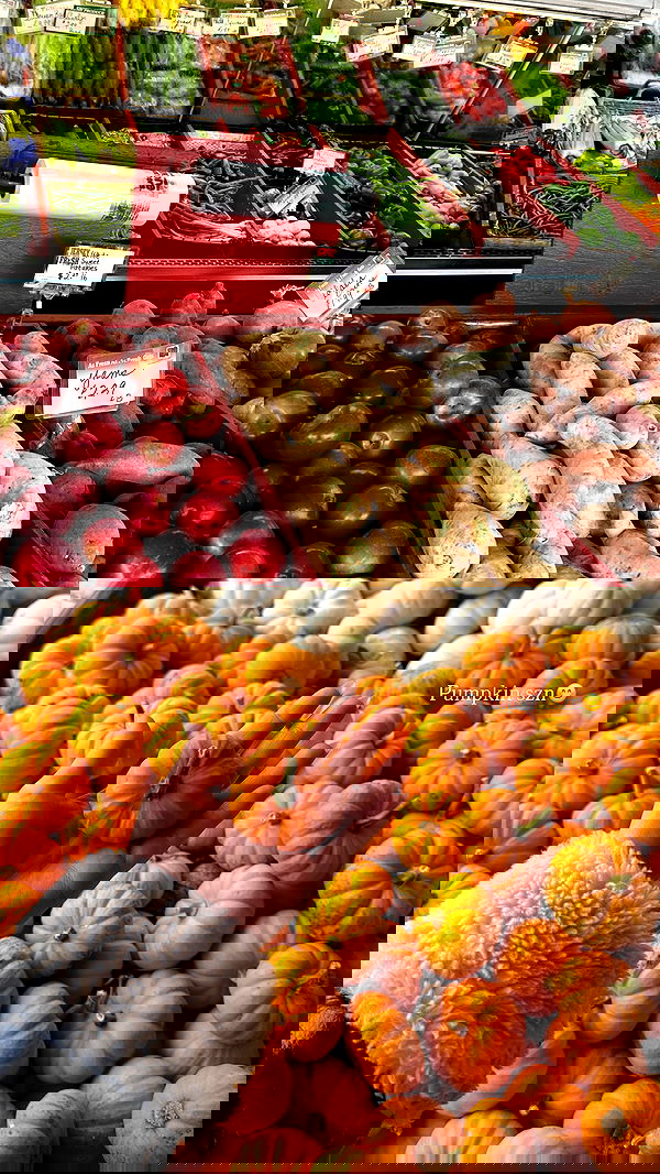 taylor.creeden taylor.creeden archive image