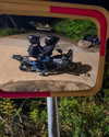 yahav_marciano Altpins Profile Picture