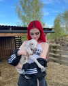 vik4au Altpins Profile Picture