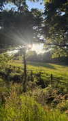 9bitez Altpins Profile Picture
