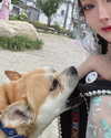erokochiba Altpins Profile Picture