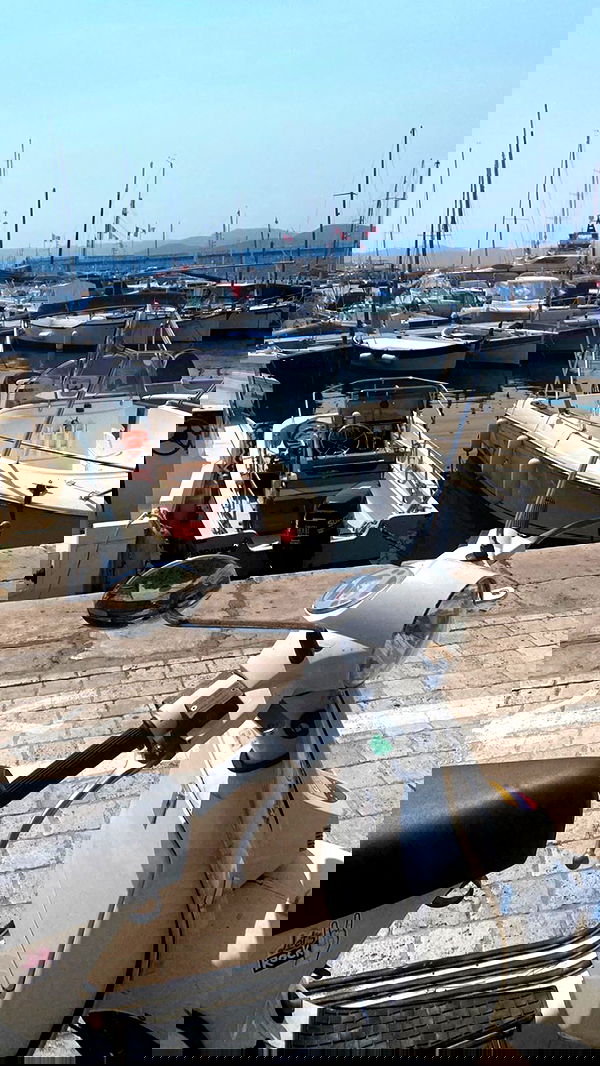 taylor.creeden taylor.creeden archive image