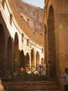 biton__adi Altpins Profile Picture