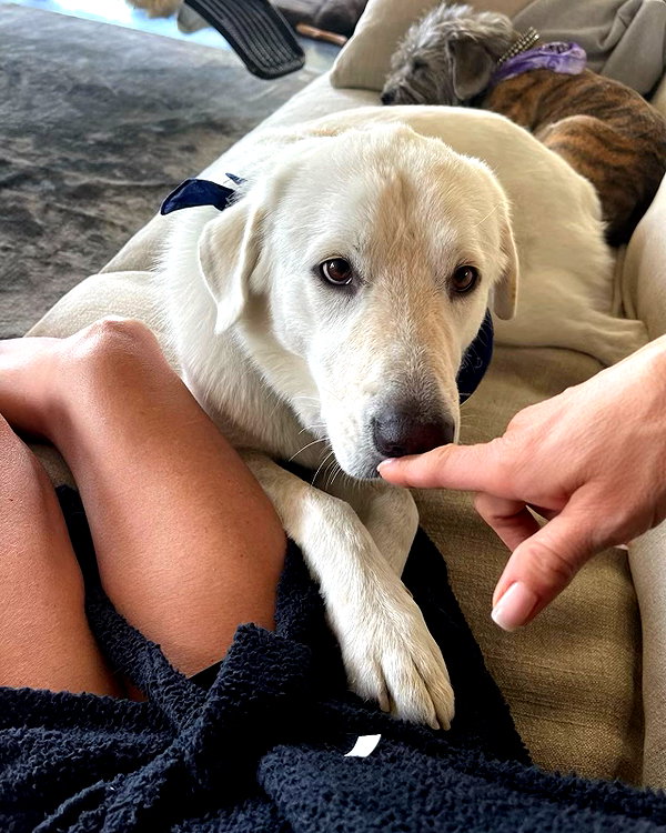 jenniferaniston instagram image archive image