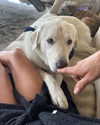 jenniferaniston Altpins Profile Picture