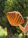 carolinezalog Altpins Profile Picture