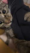 valeria.potti Altpins Profile Picture