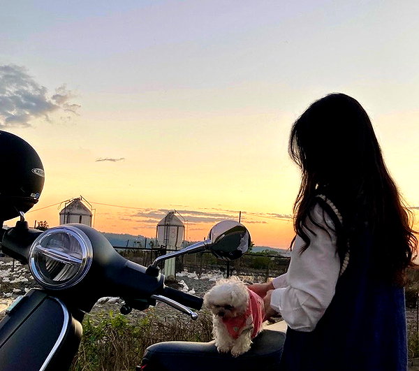 ____sy.02 instagram image archive image