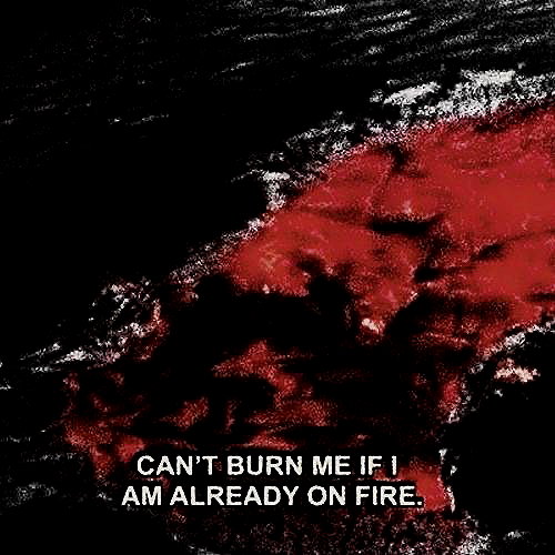 leanxhrt instagram image archive image