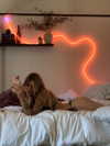 natalieexking Altpins Profile Picture