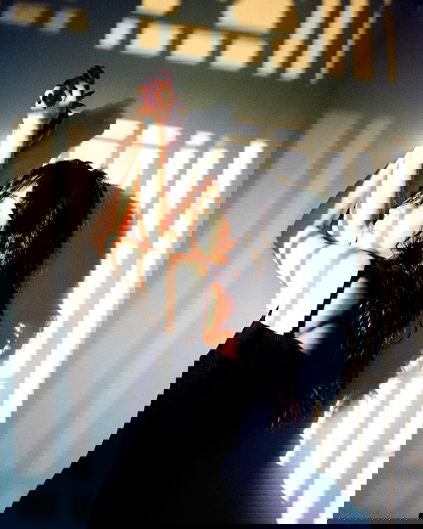 ting851204 ting851204 archive image