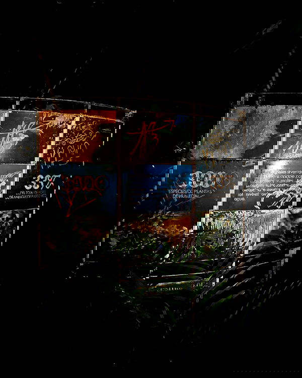 mosssaico mosssaico archive image