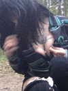 zommmbri Altpins Profile Picture