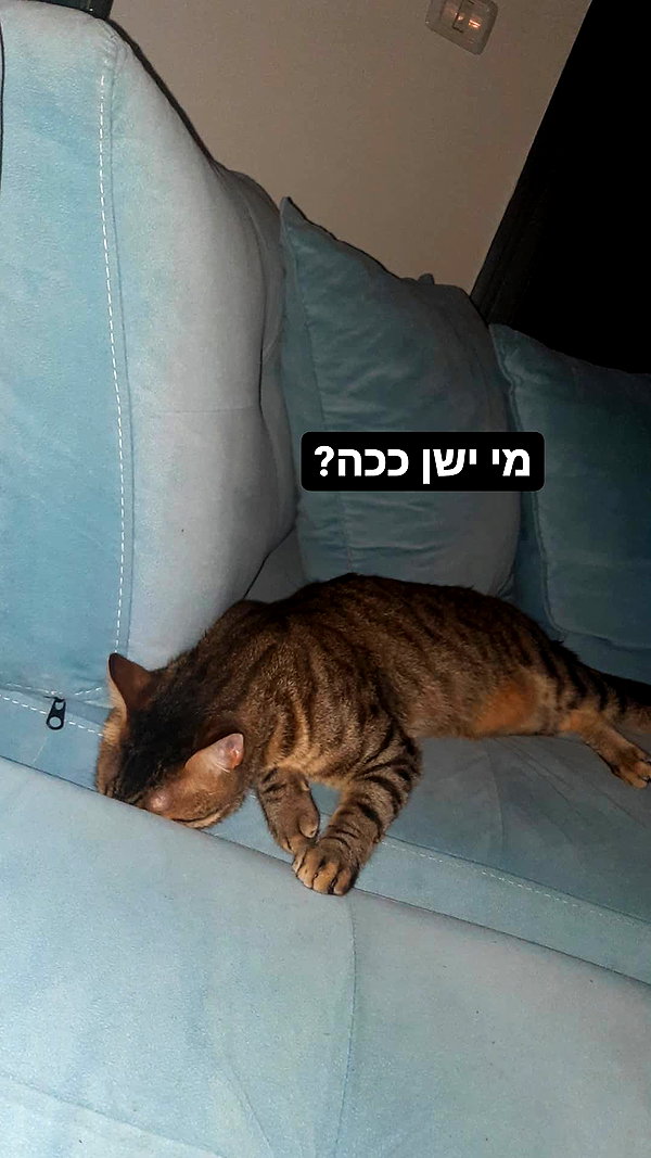 ronyida_ instagram image archive image