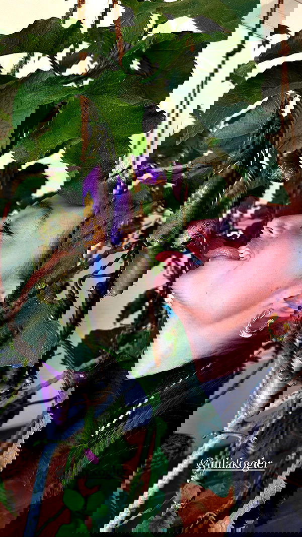 taylor.creeden taylor.creeden archive image