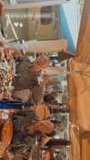 tirtza_cohen Altpins Profile Picture